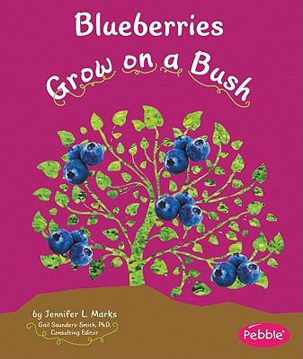 Blueberries grow on a bush /