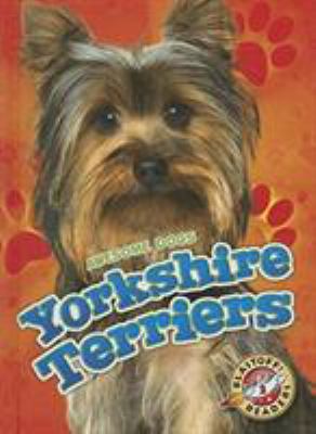 Yorkshire terriers /