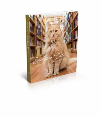 Bookstore cats /