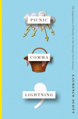 Picnic comma lightning : the experience of reality in the twenty-first century /