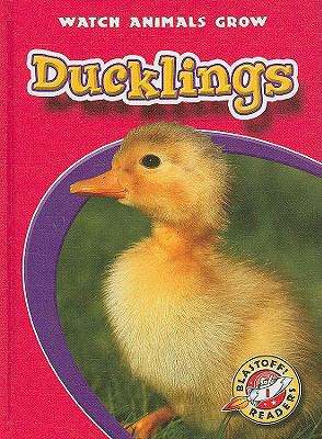 Ducklings /