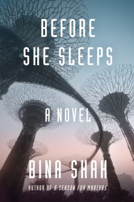 Before she sleeps : a novel /