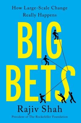 Big bets : how large-scale change really happens /