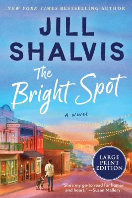 The bright spot : [large type] a novel /