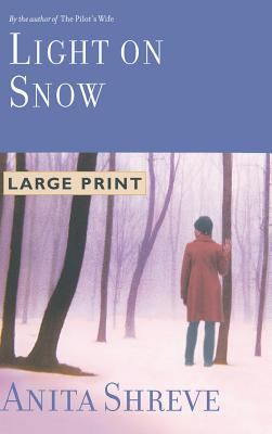 Light on snow : [large type] : a novel /