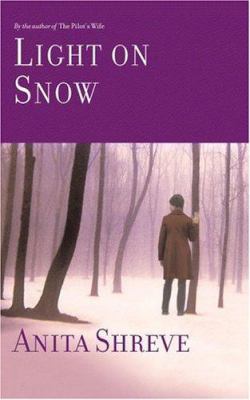 Light on snow : a novel /