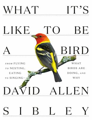 What it's like to be a bird [ebook] : From flying to nesting, eating to singing--what birds are doing, and why.