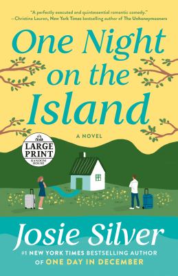 One night on the island : [large type] a novel /