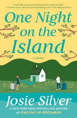 One night on the island : a novel /