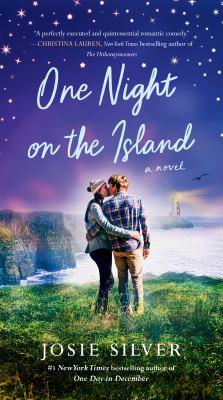 One night on the island : a novel /
