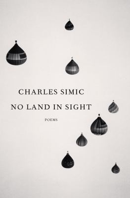 No land in sight : poems /
