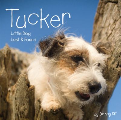 Tucker : little dog lost & found /