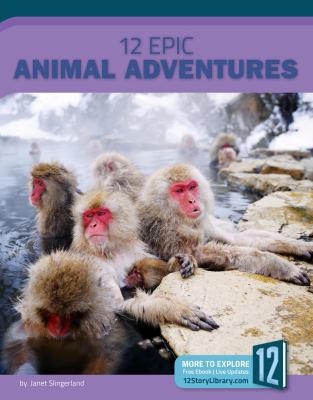 12 epic animal adventures /