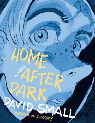 Home after dark : a novel /