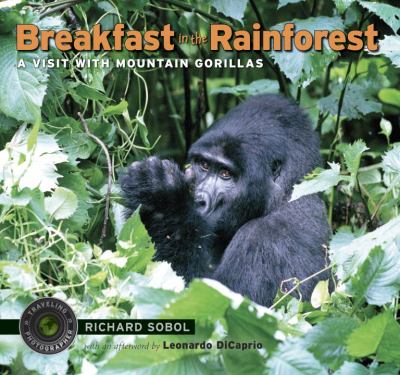 Breakfast in the rainforest : a visit with mountain gorillas /