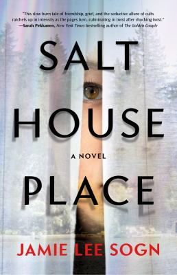 Salt House Place : a novel /