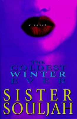 The coldest winter ever : a novel /