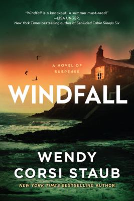 Windfall : a novel of suspense /