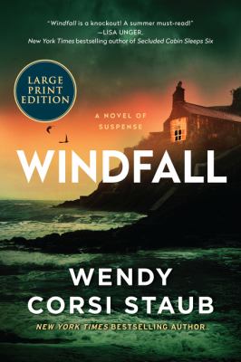 Windfall : a novel of suspense [large type] /