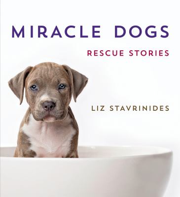 Miracle dogs : rescue stories /