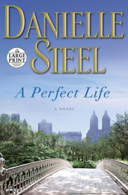 A perfect life [large type] : a novel /