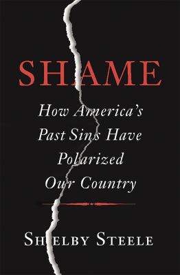Shame : how America's past sins have polarized our country /