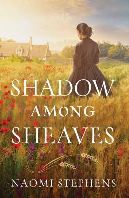 Shadow among sheaves /