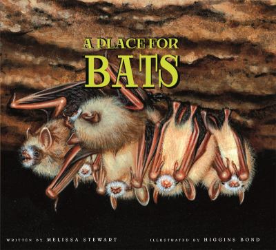 A place for bats /