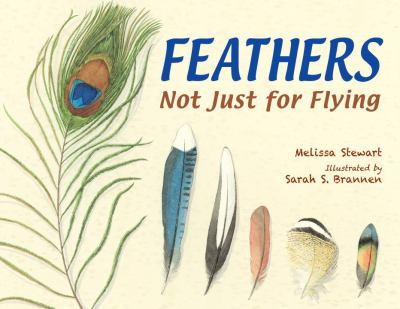 Feathers : not just for flying /