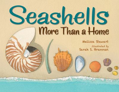 Seashells : more than a home /
