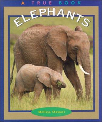Elephants /