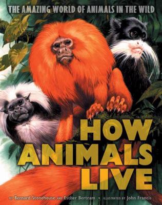 How animals live : the amazing world of animals in the wild /