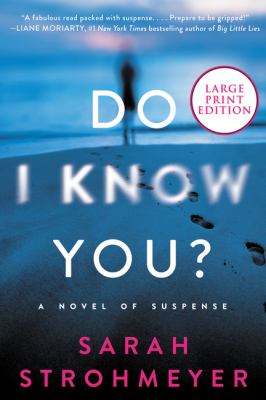Do I know you? : [large type] a novel of suspense /