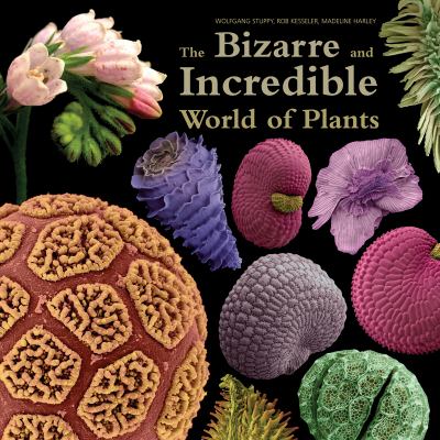 The bizarre and incredible world of plants /