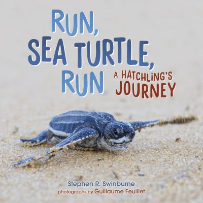 Run, sea turtle, run : a hatchling's journey /