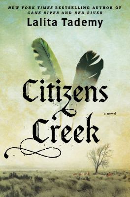 Citizens Creek : a novel /