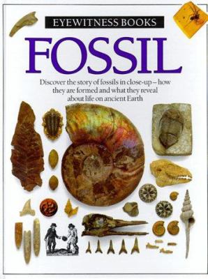 Fossil /