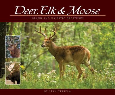 Deer, elk, & moose : grand and majestic creatures /