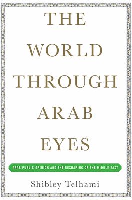 The world through Arab eyes : Arab public opinion and the reshaping of the Middle East /