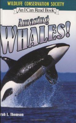 Amazing whales! /