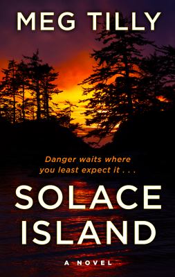 Solace Island [large type] /