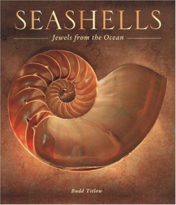 Seashells : jewels from the ocean /