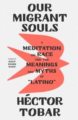 Our migrant souls : a meditation on race and the meanings and myths of "Latino" /