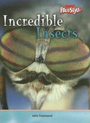Incredible insects /