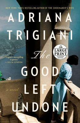 The good left undone : [large type] a novel /