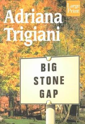Big Stone Gap : [large type] : a novel /