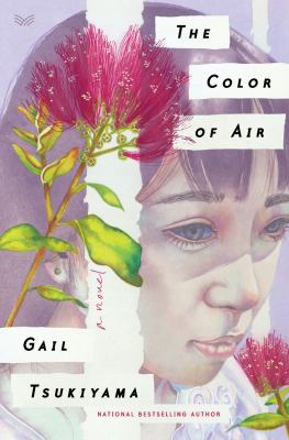 The color of air : a novel /