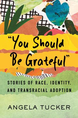 "You should be grateful" : stories of race, identity, and transracial adoption /