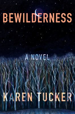 Bewilderness : a novel /