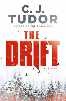 The drift : [large type] a novel /